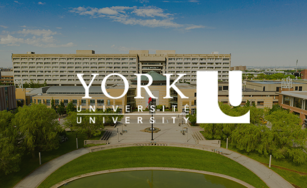 York University thumbnail